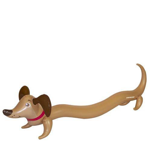 Doggy Doodle Inflatable Noodle