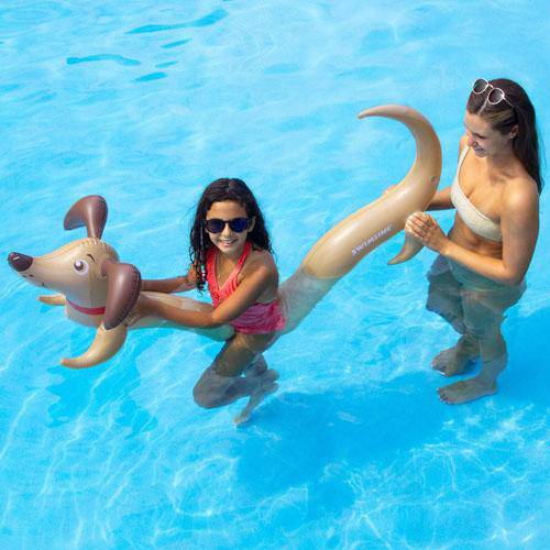 Doggy Doodle Inflatable Noodle - Image 4