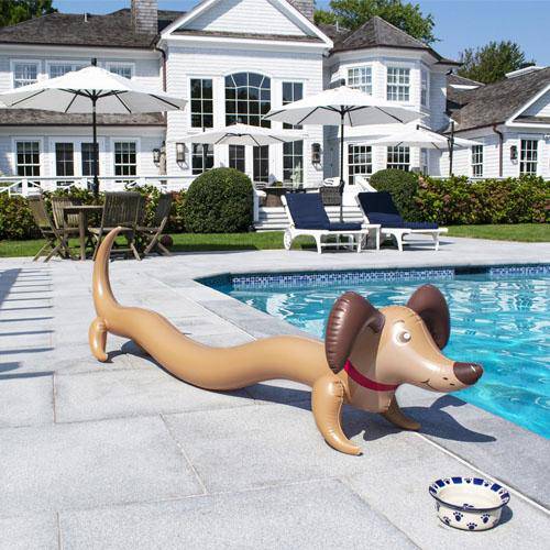 Doggy Doodle Inflatable Noodle - Image 5
