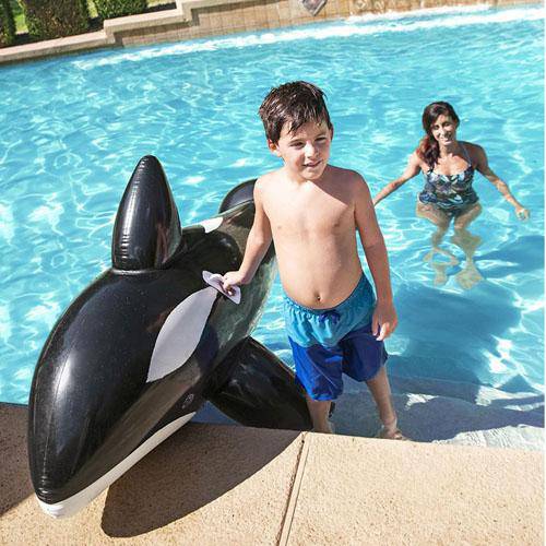 Jumbo Whale Inflatable Ride On - Image 4