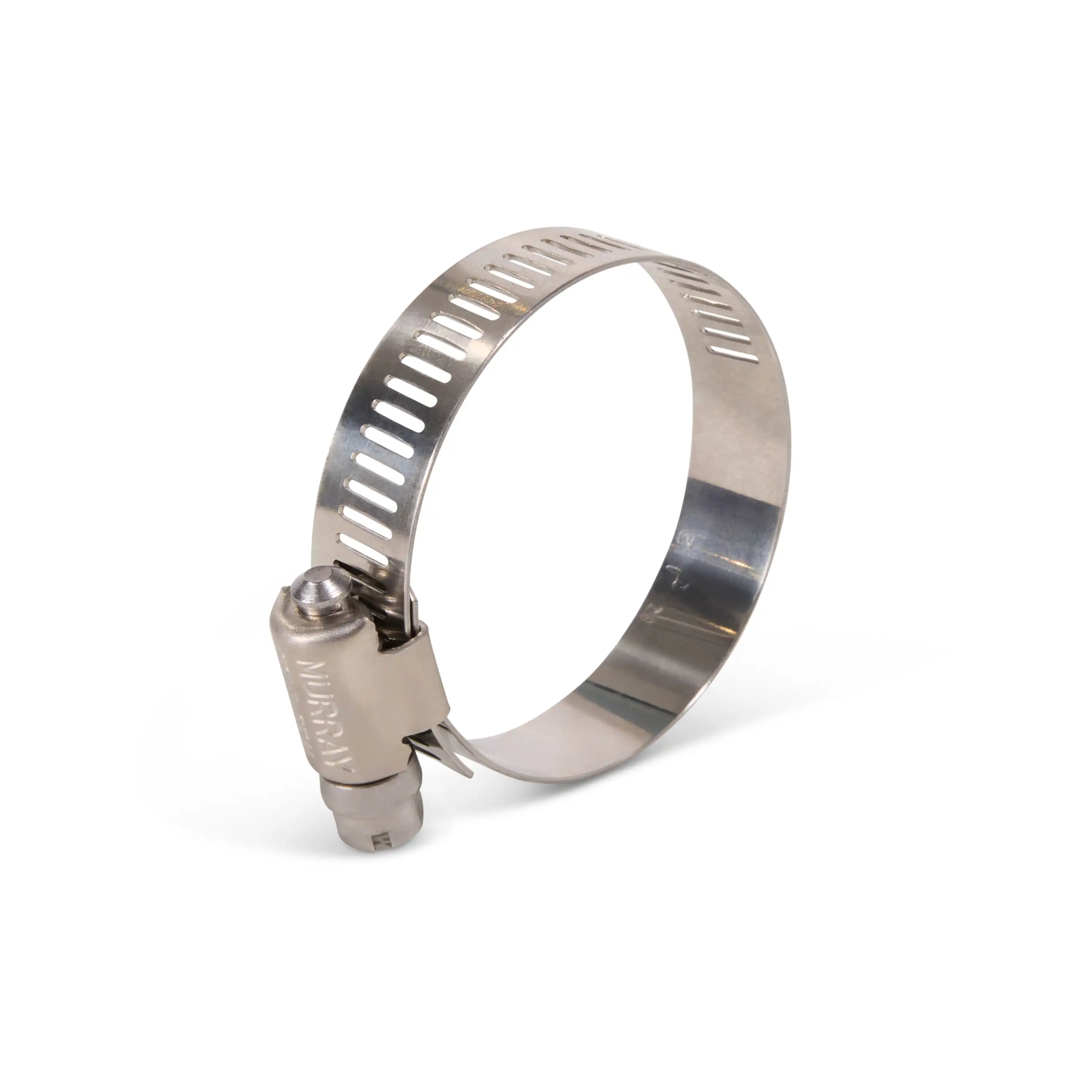 Stainless Steel Clamp