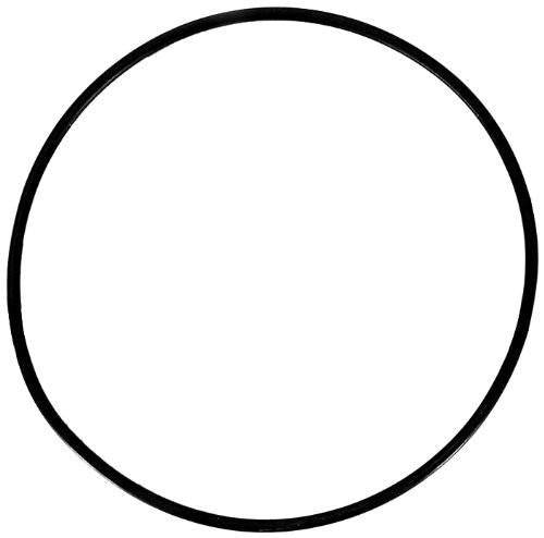 Standard Vision Vessel O-Ring