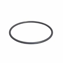Strainer Basket O-Ring